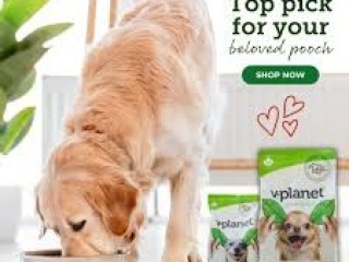 Best dry dog food for weight loss dubai