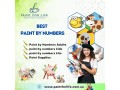 paint-by-numbers-for-kids-adults-paint-for-life-small-0