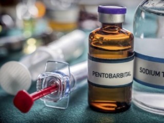 Nembutal Pentobarbital For Sale, Nembutal For Sale in USA