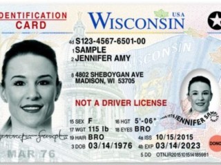 Buy Real and Fake ID Cards: High-Quality Choices