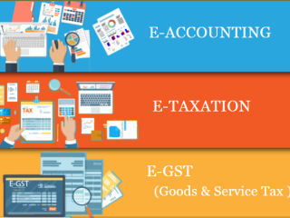 Job Oriented Accounting Course in Delhi, SLA 110042,