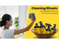 cleaning-rituals-how-squeaky-enhances-your-home-sanctuary-small-0