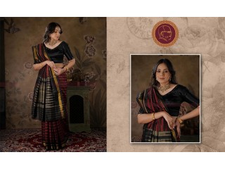 Radiant Drapes: Embrace Tradition with Our New Patola Sarees