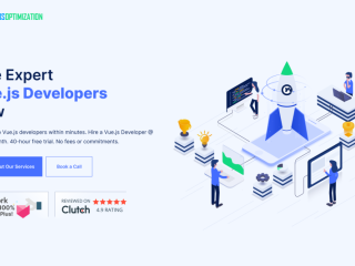 Top Vue.js Developers for Hire Hire Vue.js Developers Now