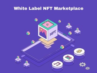 White Label NFT Marketplace