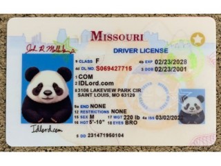 Top-Rated Fake ID Services - Get Yours at IDLORD