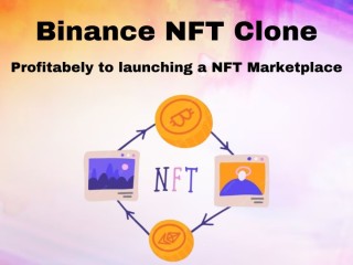 Binance NFT Clone - Profitabely to launching a NFT Marketplace