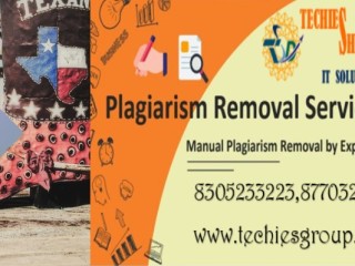 In Texas, PLAGIARISM CHECKER AND REMOVAL SERVICES