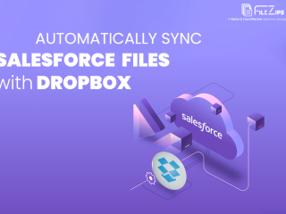 Integrate Salesforce and Dropbox for Storage Management