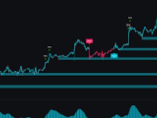 Best Indicator in Trading View