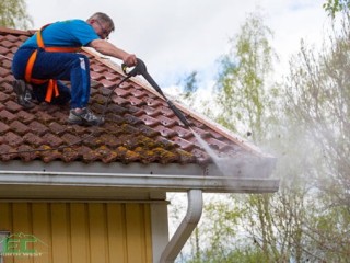 Roof & Gutter Cleaning Services in Puyallup, WA