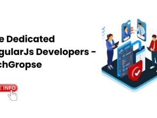 Hire Dedicated AngularJS Developers - TechGropse