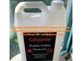 caluanie-wholesaler-small-0