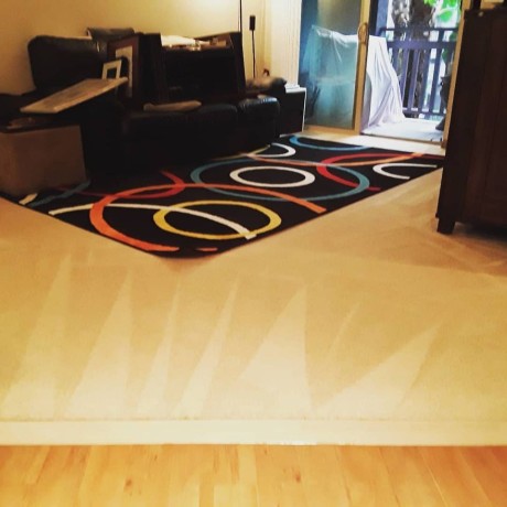 professional-carpet-cleaning-services-in-orange-county-experience-the-difference-big-2