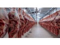 wholesale-frozen-chickens-bovine-beef-wholesale-small-0