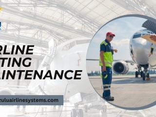 Airline Gating Maintenance