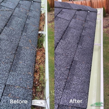 find-roof-cleaning-contractors-in-puyallup-wa-big-0