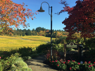 Willamette Valley Wine Tours