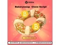 bakeryswap-clone-script-launch-defi-exchange-like-bakeryswap-small-0