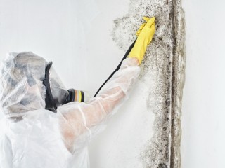 San Diego Mold Remediation