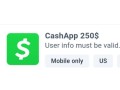 cashapp-250-small-0