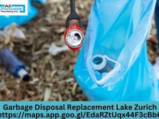 Reliable Lake Zurich Garbage Disposal Replacement Services