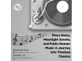 piano-notes-moonlight-sonata-and-public-domain-music-a-journey-into-timeless-classics-small-0