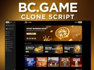 Plurance's BC.Game Clone Script: The Key to Your Crypto Casino Venture