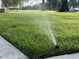 Reliable Irrigation Installers Near Shelby County, TN