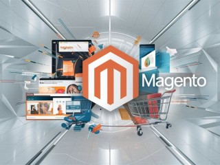 Hire Expert Magento Programmers