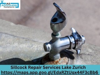 Fast and Reliable Sillcock Repair Services Lake Zurich