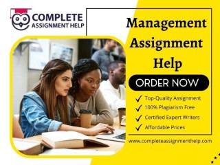 Management Assignment Help for B-School students to get good grades