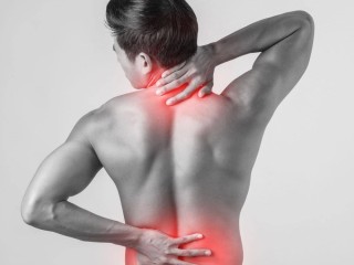 Find the Best Chiropractor in Mount Pleasant, SC