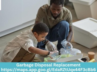 Upgrade with Garbage Disposal Replacement Services