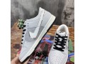 nike-sb-dunk-low-sneaker-small-1