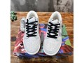 nike-sb-dunk-low-sneaker-small-0