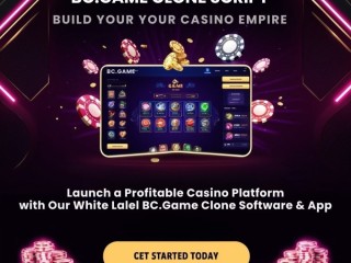 White Label BC.Game Clone Software: The Key to Your Casino Success