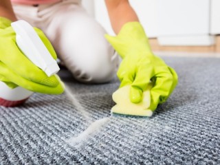 Best Carpet Stain Removers