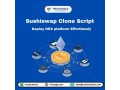 sushiswap-clone-script-small-0