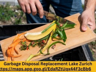 Seamless Garbage Disposal Replacement Lake Zurich Services