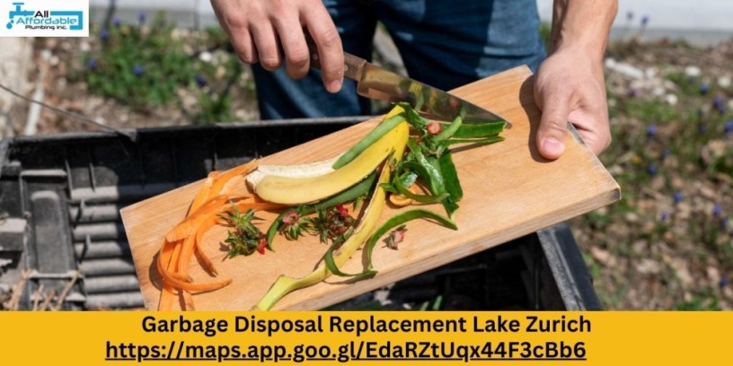 seamless-garbage-disposal-replacement-lake-zurich-services-big-0