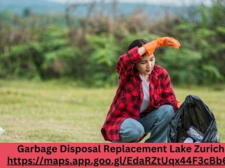 Dependable Garbage Disposal Replacement Lake Zurich Professionals