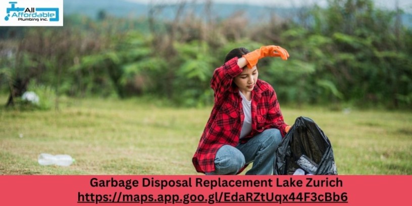 dependable-garbage-disposal-replacement-lake-zurich-professionals-big-0