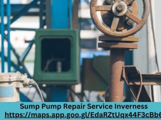 Expert Sump Pump Repair Service Inverness for Your Home