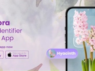 Discover the Best Free Plant Identifier and Care App!