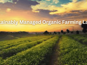 Managed Farmland | Invest in Farmland for a Sustainable Future – Organic Monk