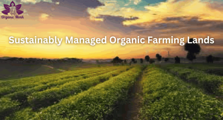 Managed Farmland | Invest in Farmland for a Sustainable Future – Organic Monk