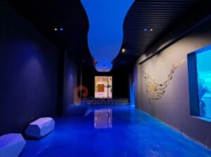 Creative Museum Exhibit Design for Engaging Visitor Experiences