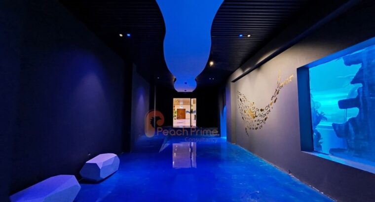 Creative Museum Exhibit Design for Engaging Visitor Experiences