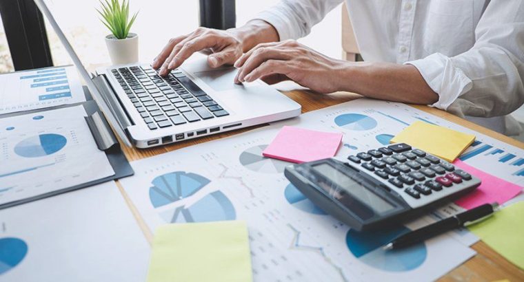 Professional Chartered Accountant in London